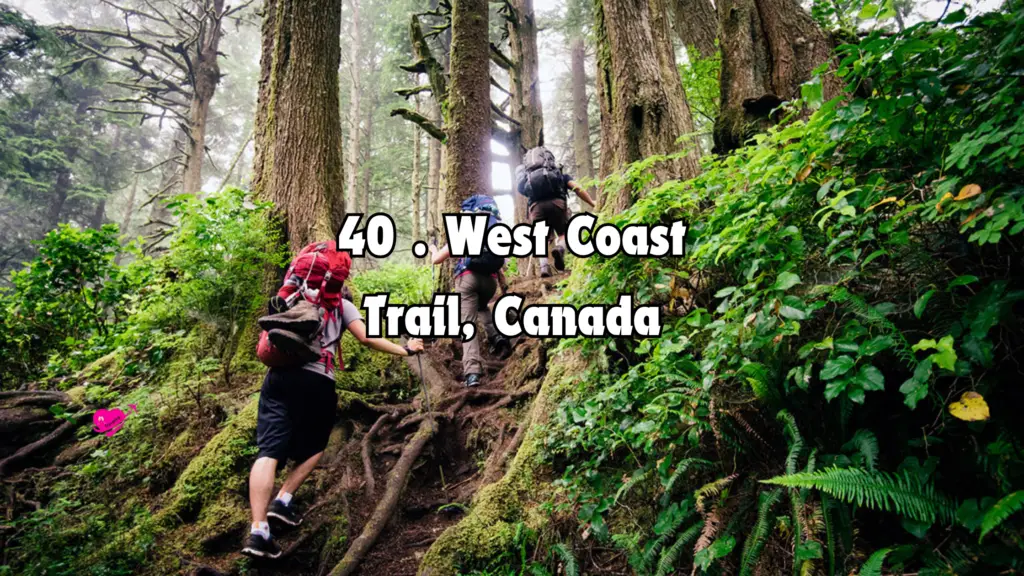 40 Best Hiking Trails Destinations for Your Next Adventure